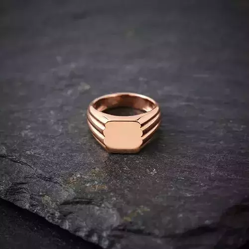 Jewelry Signet Ring v23 S Size