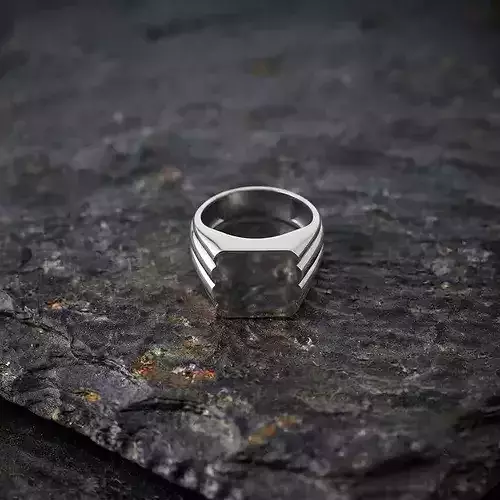 Jewelry Signet Ring v23 M Size