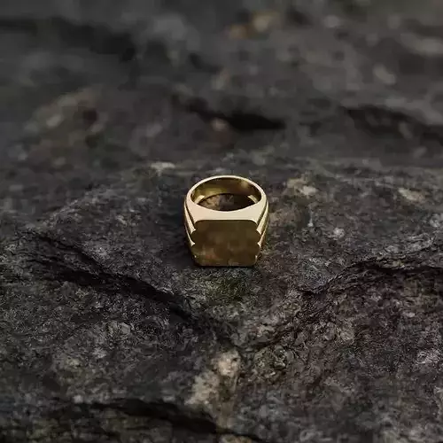 Jewelry Signet Ring v23 L Size