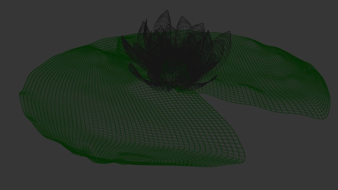 Lily Pad with Flower 3D model_4