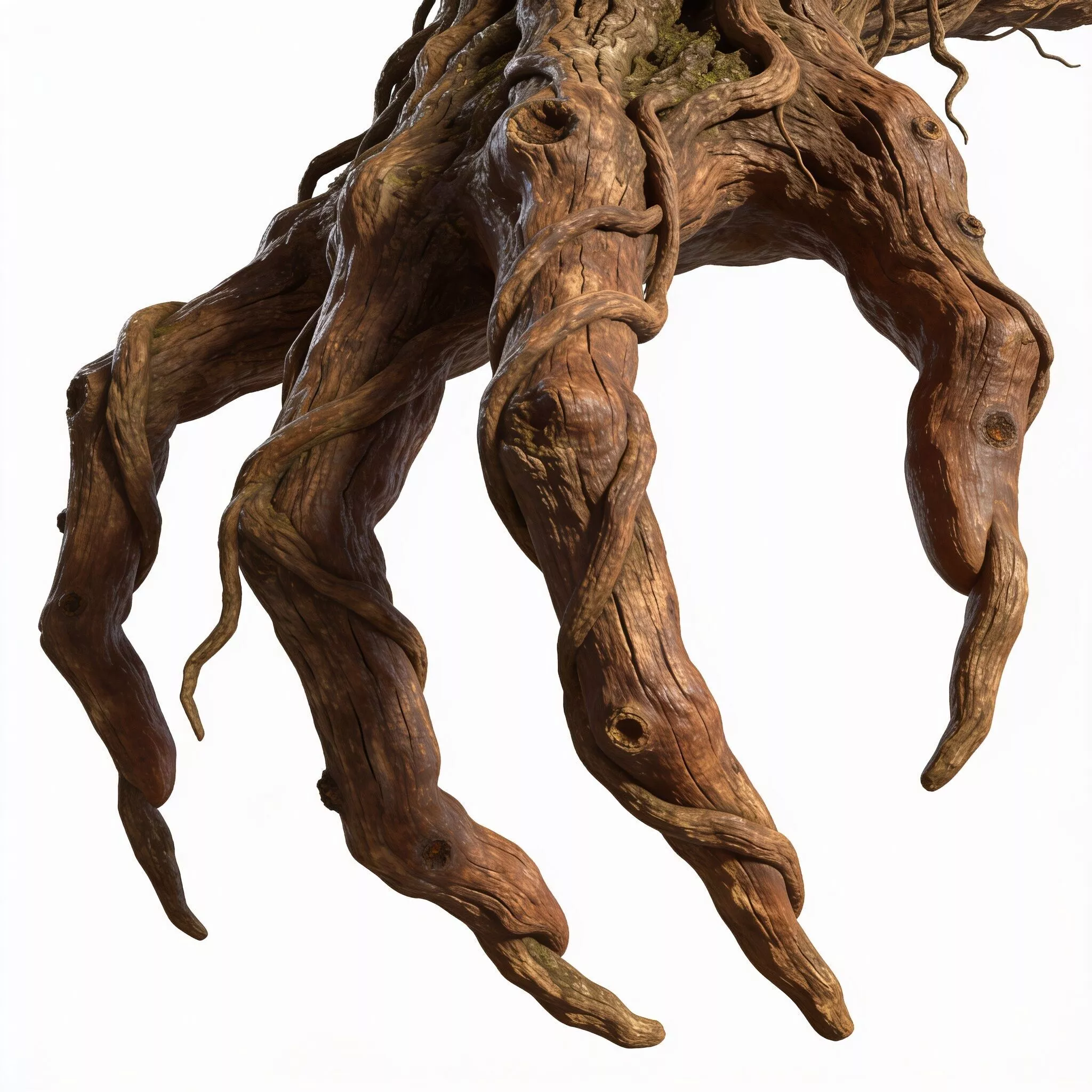 Stylized 3D Magical Twisted Root Hand Asset Low-poly 3D model