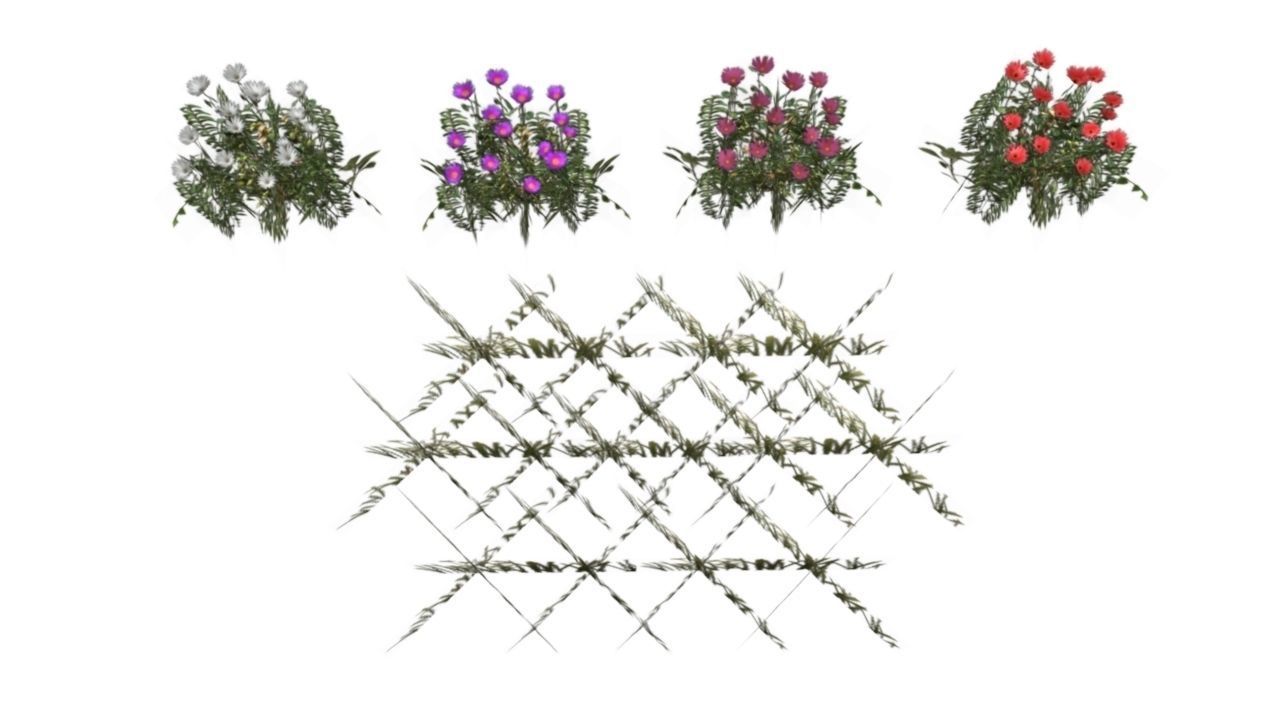 Lowpoly flowers and grass Low-poly 3D model_3