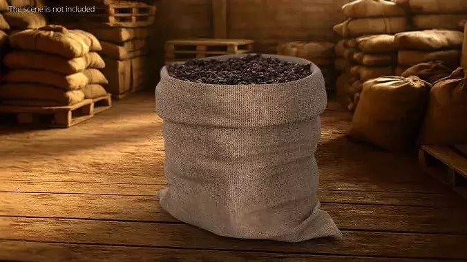 Jute Sack with Coffee Beans Full 3D model 3