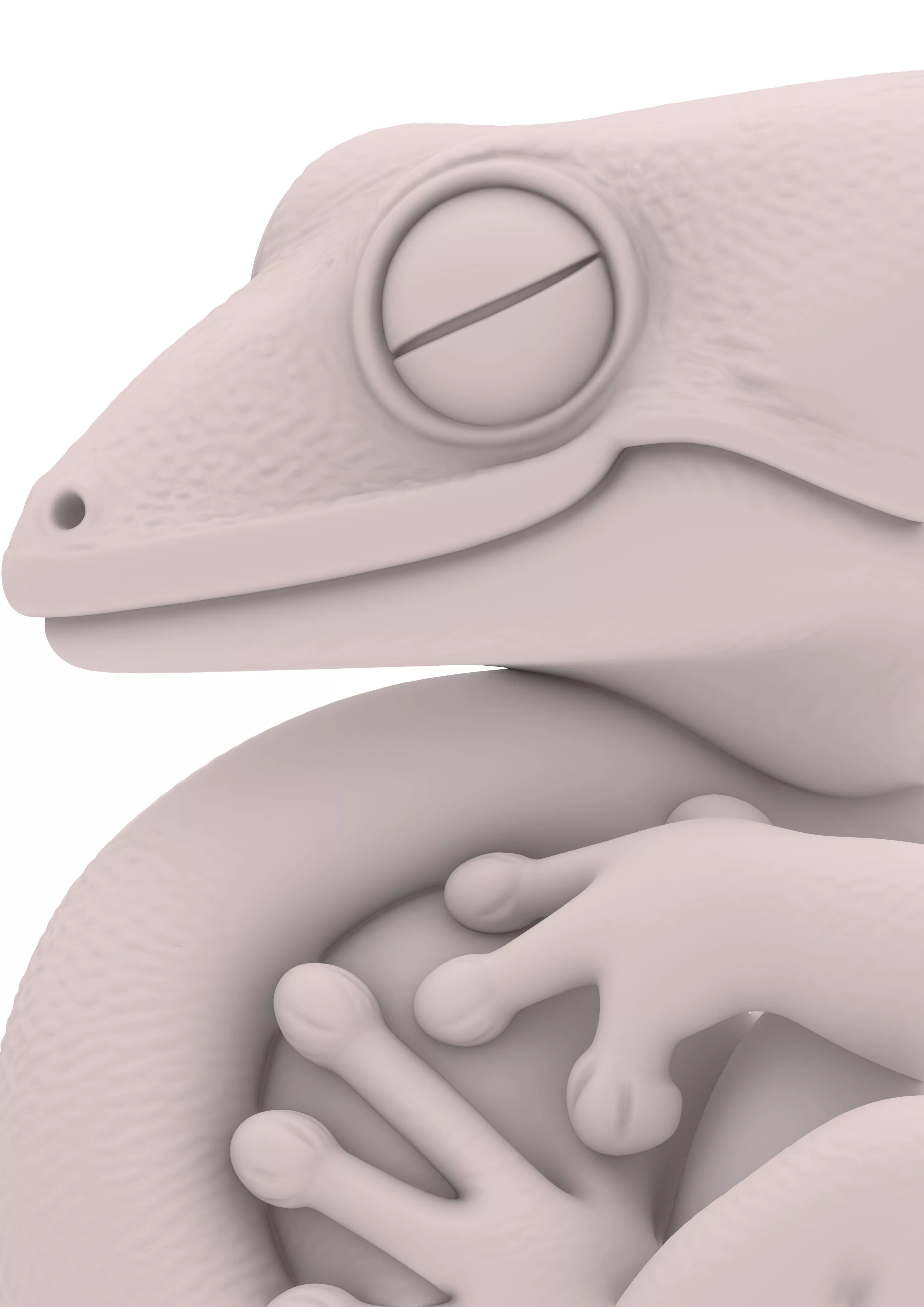 Chameleon Lizard Echse Lagarto Reptile chibi 3D print model