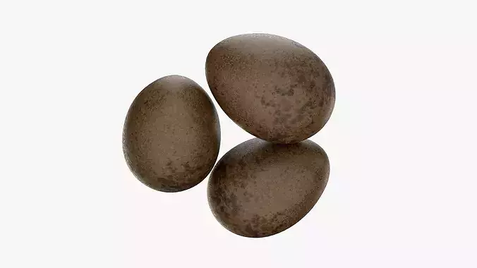 Natural Avian Eggs with Speckled Shell 3D model 4