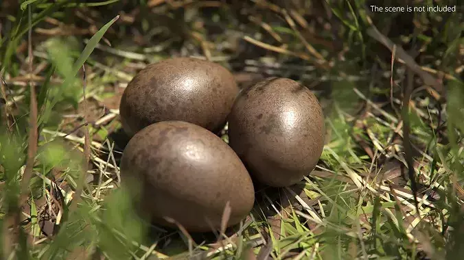Natural Avian Eggs with Speckled Shell 3D model 2