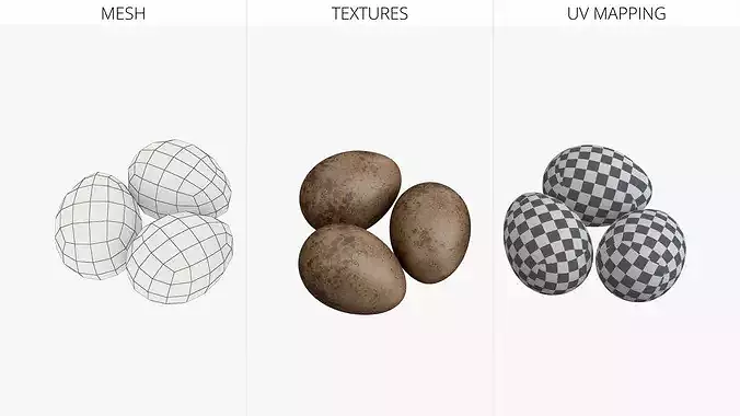 Natural Avian Eggs with Speckled Shell 3D model 5