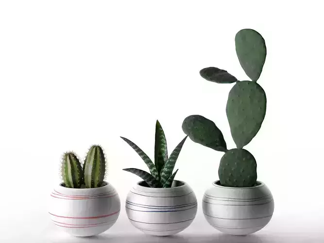 Cheerful Porcelain Mini Cactus Planters