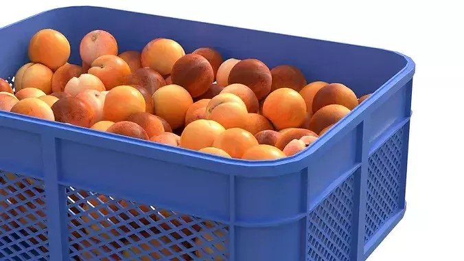 Apricot Plastic Crate Low-poly 3D model 3