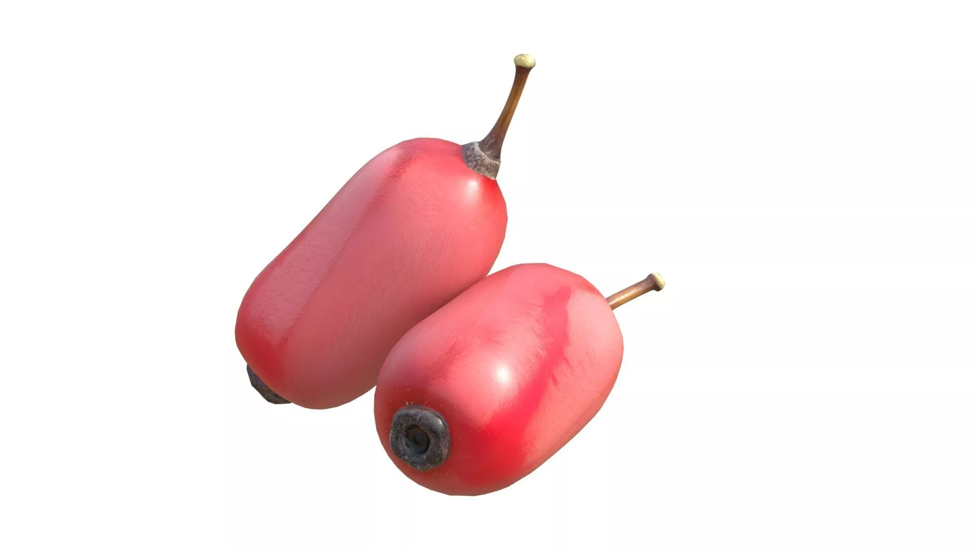 Berberis Fruit Low-poly 3D model