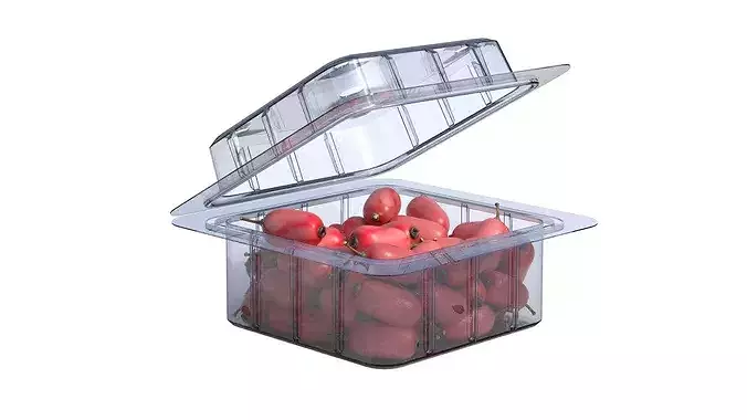 Berberis Fruit Box Plastic Transparent Low-poly 3D model 2