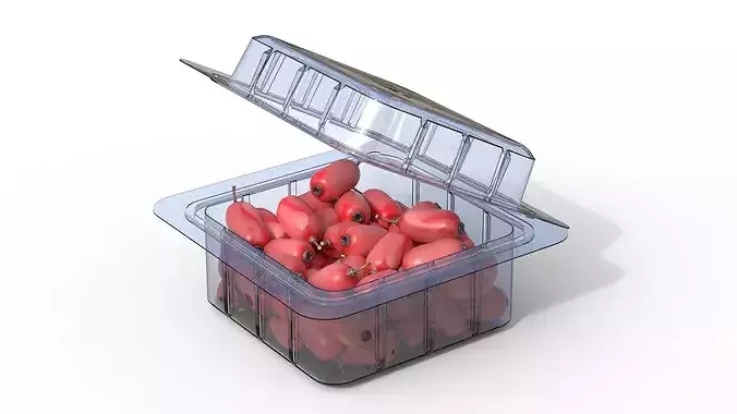 Berberis Fruit Box Plastic Transparent Low-poly 3D model