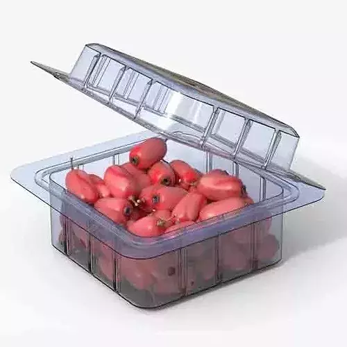 Berberis Fruit Box Plastic Transparent Low-poly 3D model 6