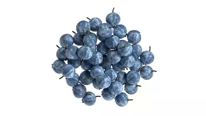 Bilberry    Low-poly 3D model 3