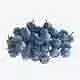 Bilberry    Low-poly 3D model 7