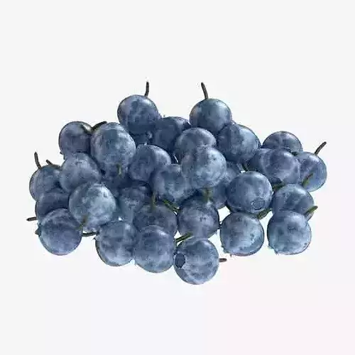 Bilberry    Low-poly 3D model 6