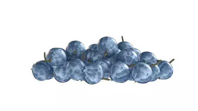 Bilberry    Low-poly 3D model 5