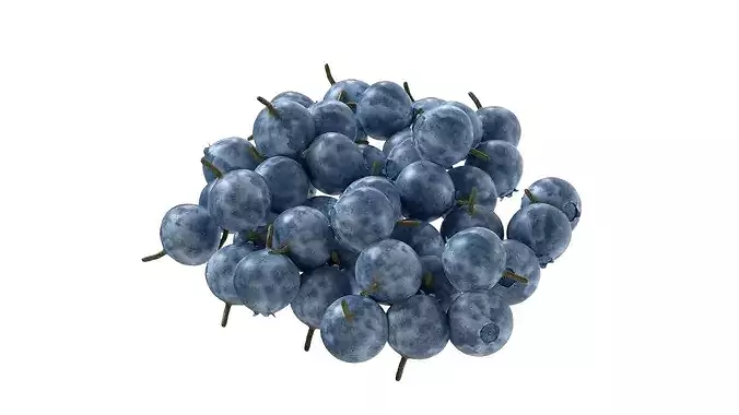 Bilberry    Low-poly 3D model 2