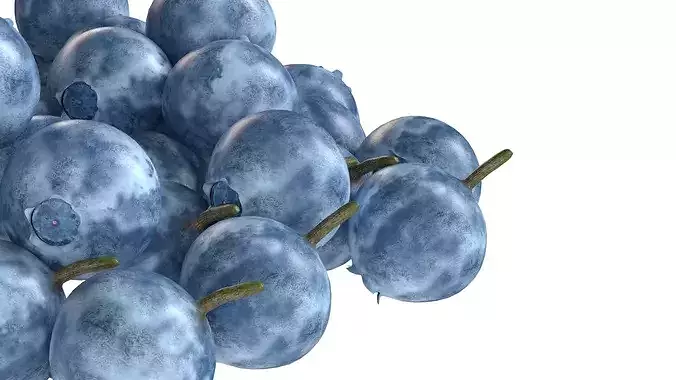 Bilberry    Low-poly 3D model 4