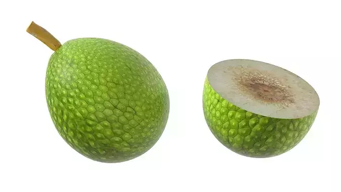 Breadfruit Low-poly 3D model
