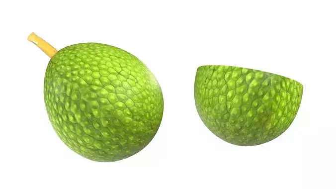 Breadfruit Low-poly 3D model 5