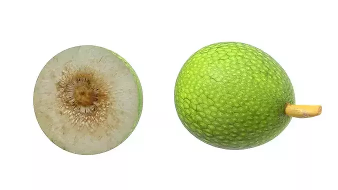 Breadfruit Low-poly 3D model 4