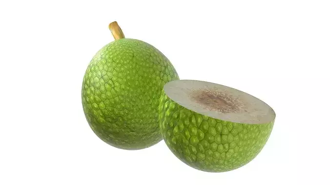 Breadfruit Low-poly 3D model 2