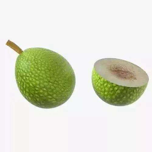 Breadfruit Low-poly 3D model 6