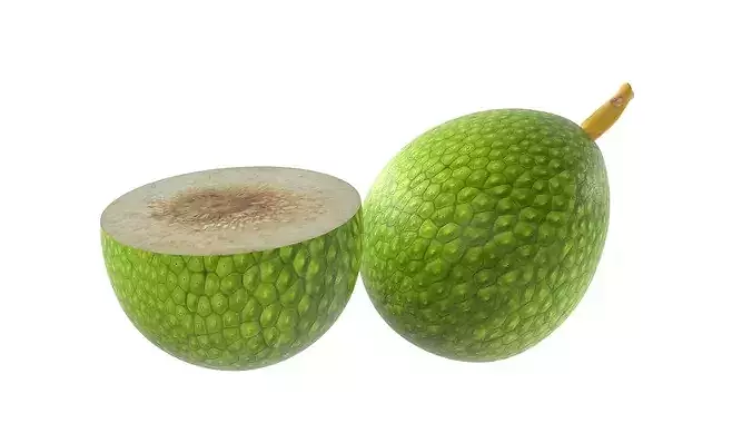 Breadfruit Low-poly 3D model 3
