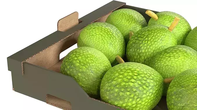 Breadfruit Cardboard Fruit Box Low-poly 3D model 4