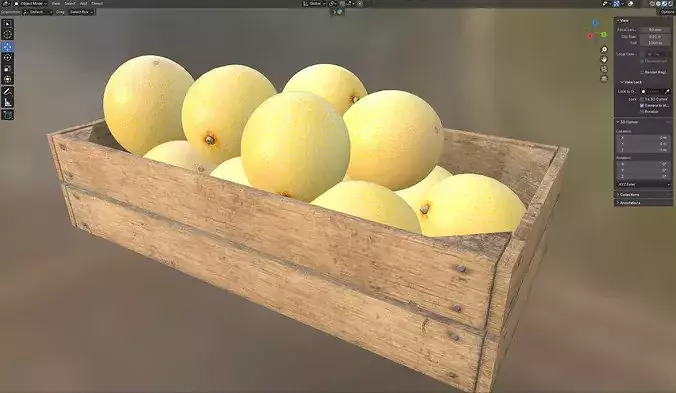 Cantaloupe Melon Wooden Crate Low-poly 3D model 7