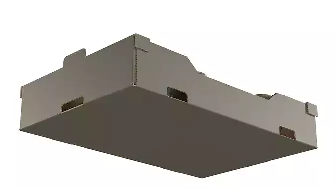Cherimoya Cardboard Fruit Box Low-poly 3D model 5