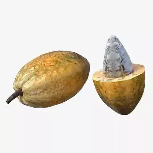 Cocoa Fruit Low-poly 3D model 6