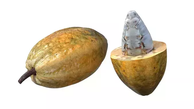 Cocoa Fruit Low-poly 3D model