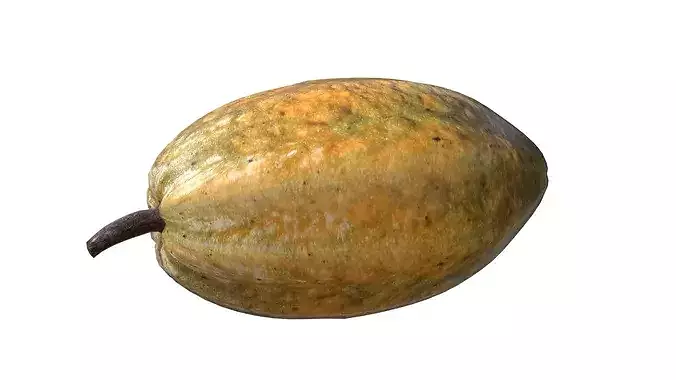 Cocoa Fruit Low-poly 3D model 4