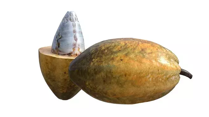 Cocoa Fruit Low-poly 3D model 2