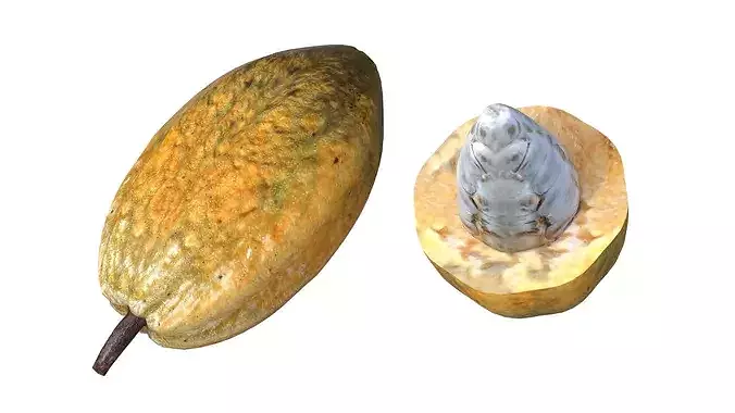 Cocoa Fruit Low-poly 3D model 3