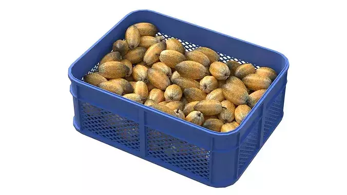 Cocoa Fruit Plastic Crate Low-poly 3D model 3