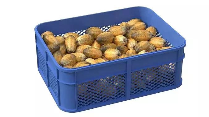 Cocoa Fruit Plastic Crate Low-poly 3D model