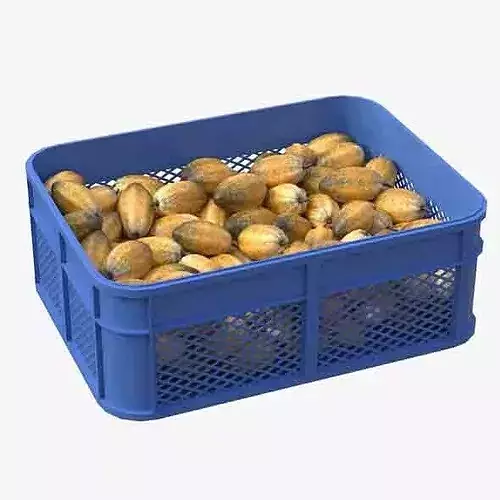 Cocoa Fruit Plastic Crate Low-poly 3D model 6