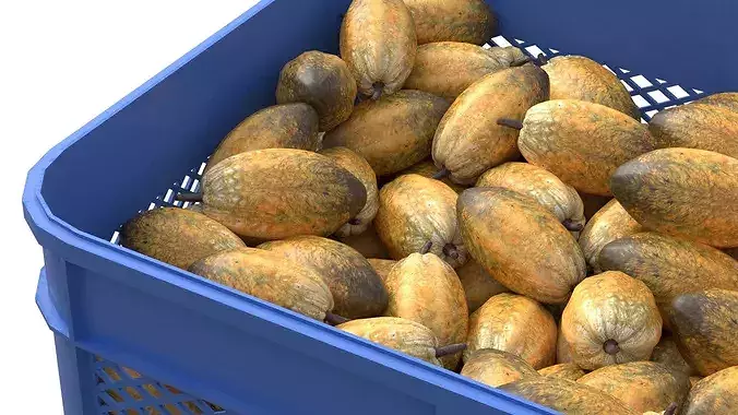 Cocoa Fruit Plastic Crate Low-poly 3D model 4