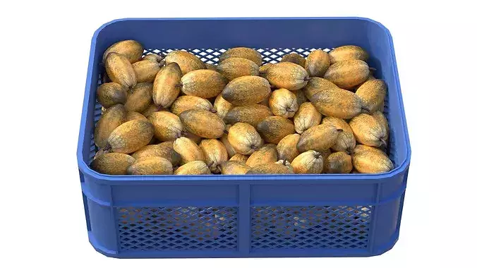 Cocoa Fruit Plastic Crate Low-poly 3D model 2