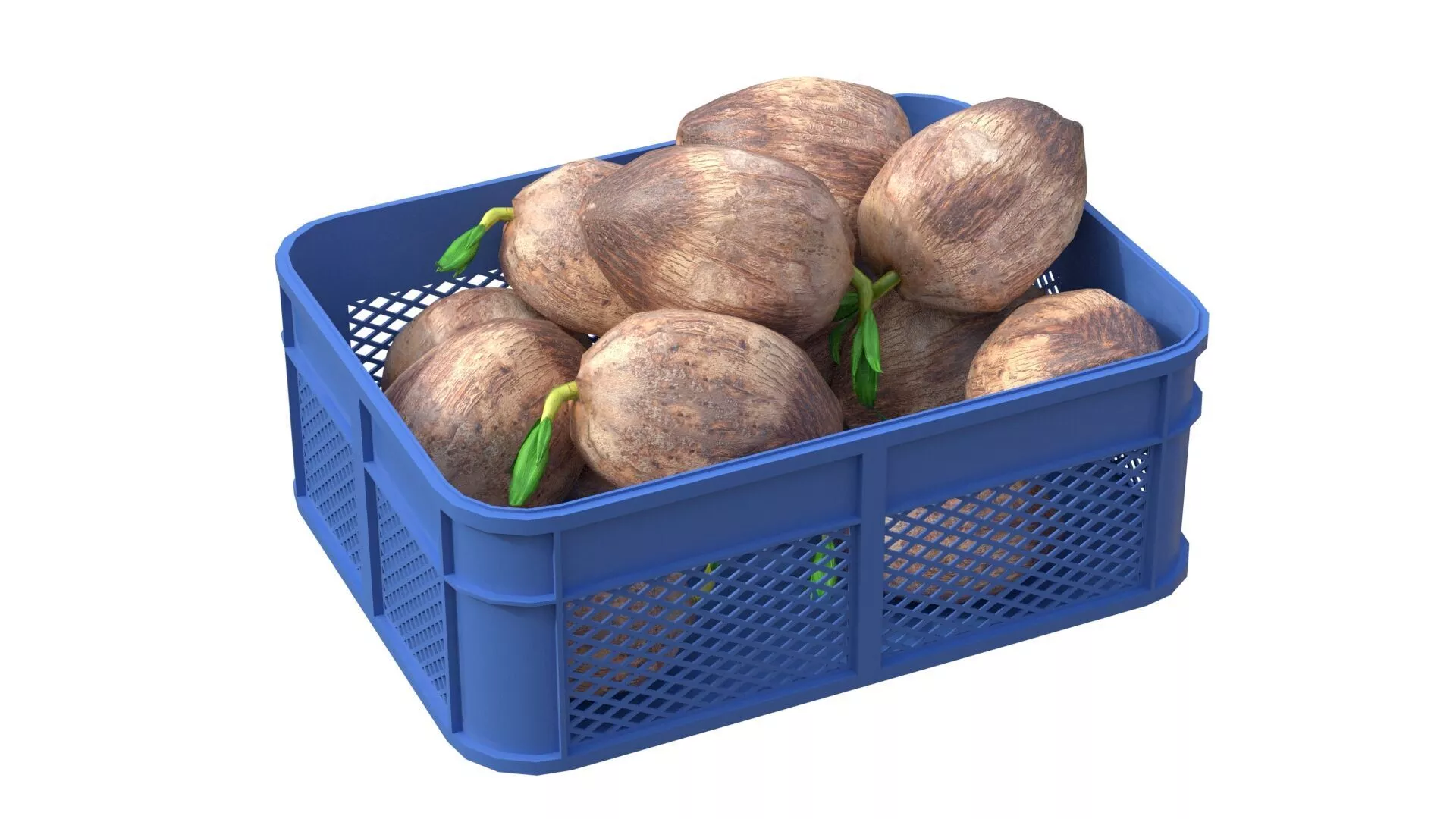 Coconut Sprout Plastic Crate Low-poly 3D model