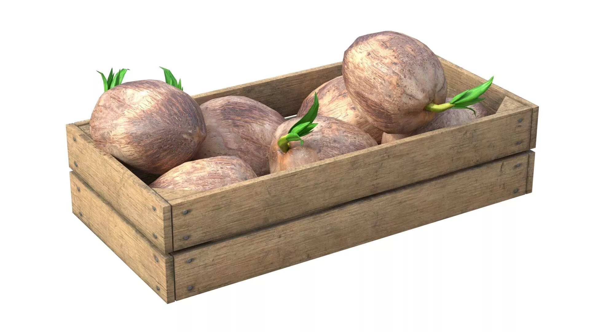 Coconut Sprout Wooden Crate Low-poly 3D model