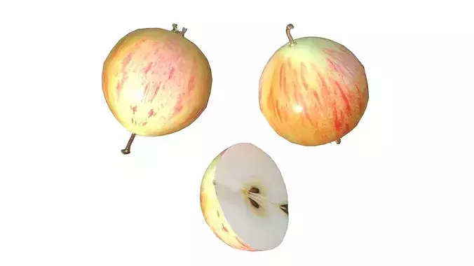 Crab Apple Low-poly 3D model 3
