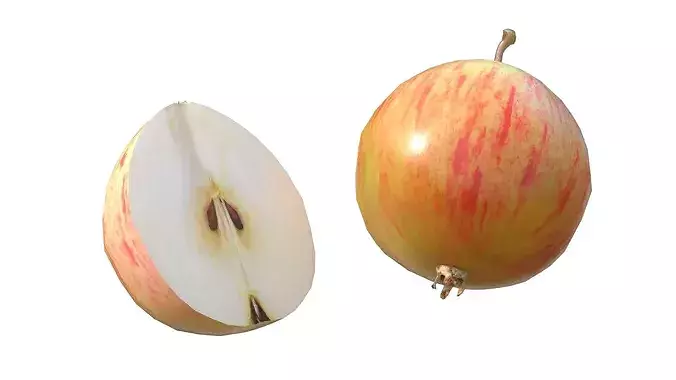 Crab Apple Low-poly 3D model 4