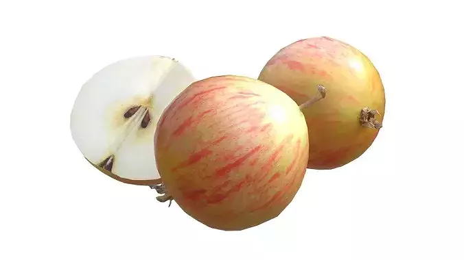 Crab Apple Low-poly 3D model 2
