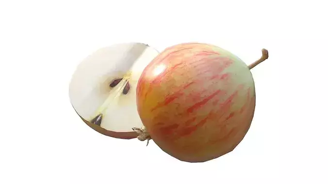 Crab Apple Low-poly 3D model 5