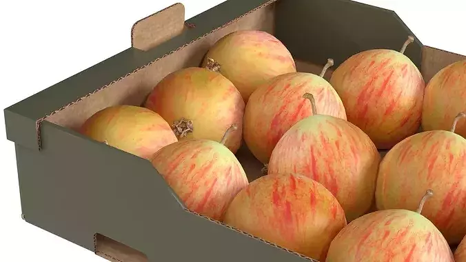 Crab Apple Cardboard Fruit Box Low-poly 3D model 4