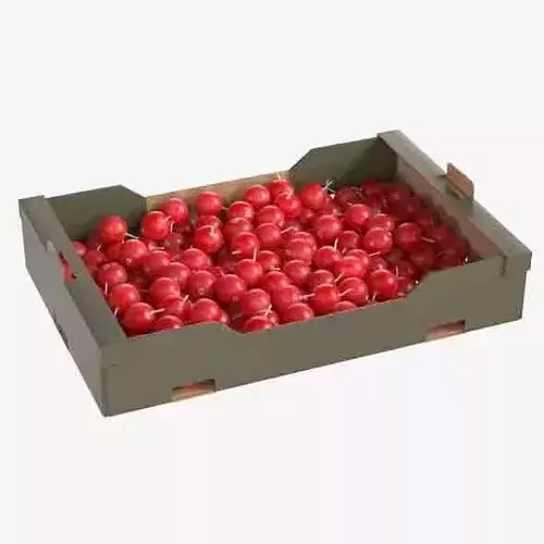 Cranberry Cardboard Fruit Box Low-poly 3D model 6
